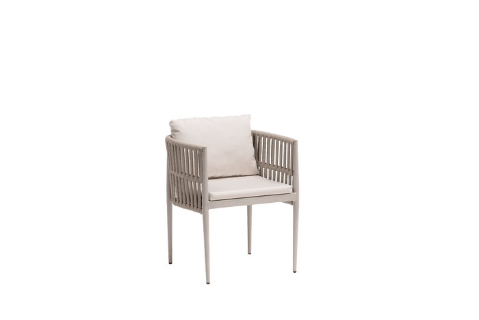 Lineas Dining Arm Chair