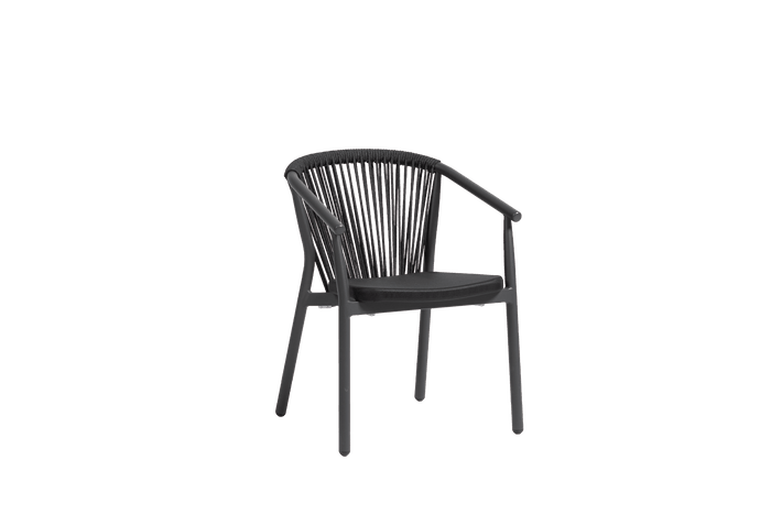 Trinity Dining Arm Chair
