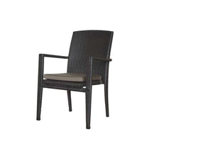 New Miami Lakes Dining Arm Chair w/Cushion - Resin & Aluminum