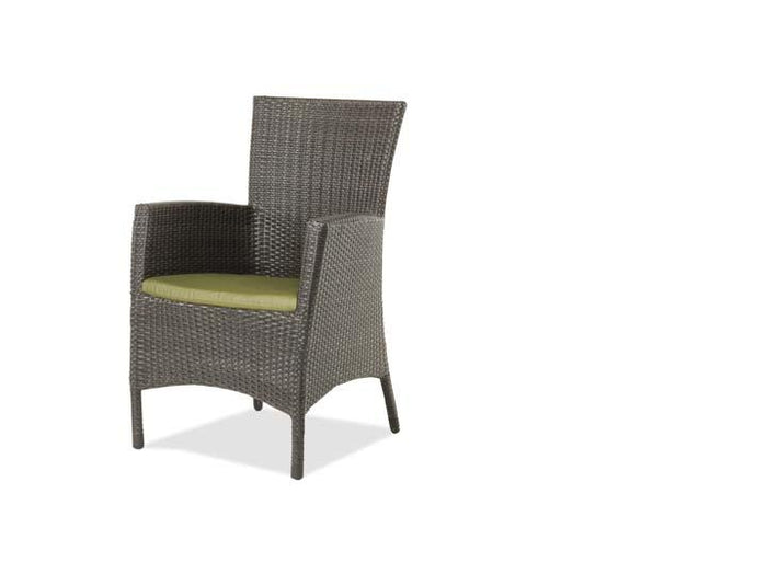 Palm Harbor Dining Arm Chair w/Cushion - Resin & Aluminum